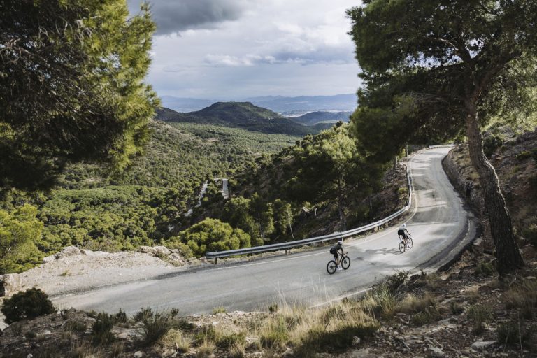 Nouveauté : les vélos sport sont arrivés !